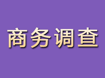 阳山商务调查